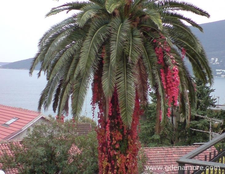 pogled sa balkona